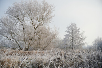 Prairies en hiver