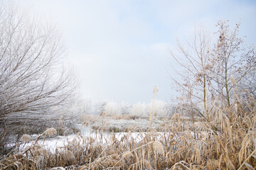 Prairies en hiver
