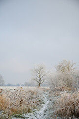 Prairies en hiver