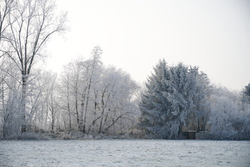 Prairies en hiver