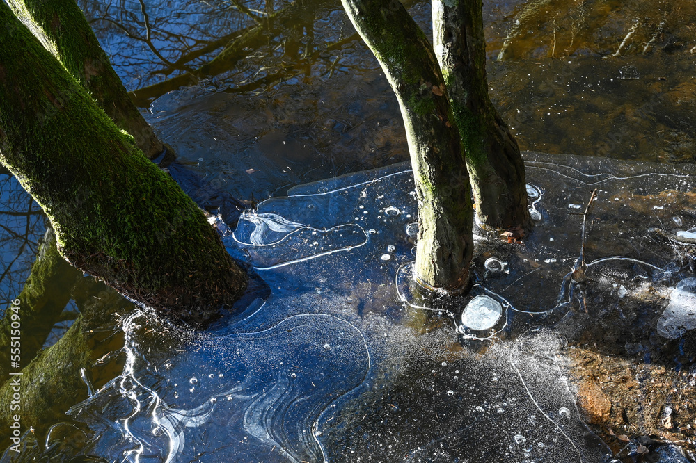 Canvas Prints Belgique Wallonie Habay etang hiver gel environnement glace eau planète