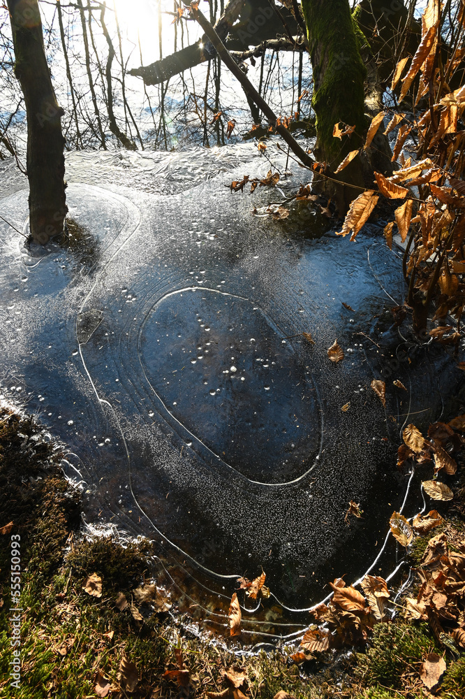 Canvas Prints belgique wallonie habay etang hiver gel environnement glace eau planète