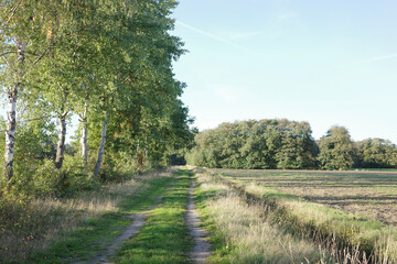 road in the countryside