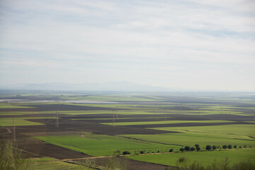 Fototapeta premium Paisaje de campos sembrados con trigo. 