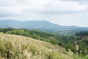 Obraz premium landscape in the mountains