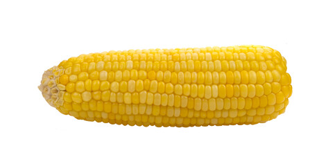 corn isolated on transparent png