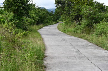 Fototapeta na wymiar Traditional Filipino concrete road. Around dense thickets of grass and shrubs.