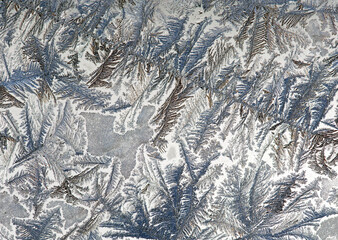 Close-up of frost patterns on glass; Calgary, Alberta, Canada