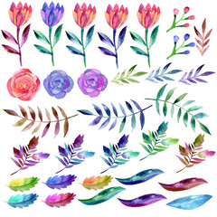 Set of  watercolor red, pink and purple  flowers, leaves, brunches, buds, berries, 30 0dpi PNG clip art for invitations, cards, logos, creation of seamless patterns and other DIY projects , isolated  