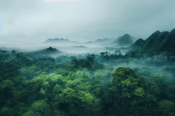 Tuinposter Misty morning in the mountains full of fog over the Jungle/Forest © CREATIVE STOCK