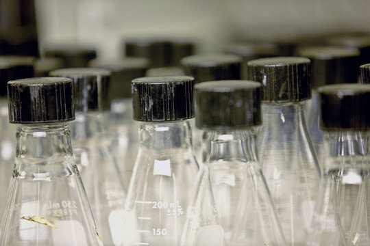 Glass beakers in laboratory, close-up