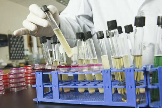 Scientist placing test tubes in a rack