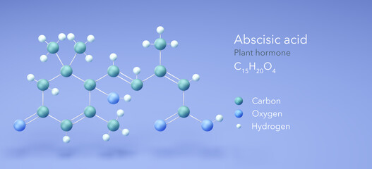 abscisic acid molecular structures, plant hormone 3d model, Structural Chemical Formula and Atoms with Color Coding