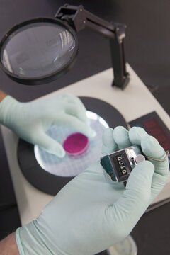 Scientist counting bacterial colonies with counting machine