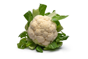 cauliflower isolated ,png file