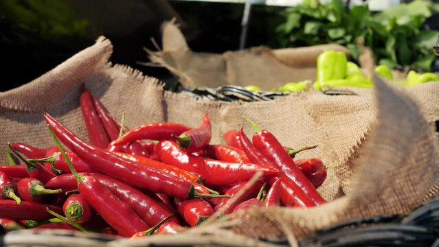 Chili peppers on counter of a farm shop that are grown with love and care for people. The hottest chili in a basket on display at the local market in the vegetable section. Sale of organic vegetables