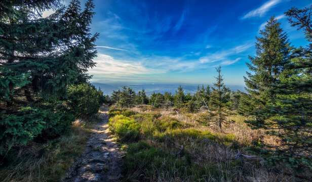 Autumn nature on the Jizera mountains in Bohemia