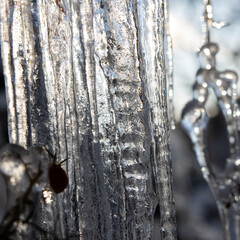 Icicles and a drop of melt water close-up. Snow melting.