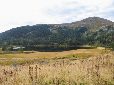 Panoramic view of alpine lake Winterleitensee surrounded by swamp, golden reed and fir forest near Zirbitzkogel, Seetal Alps, Styria (Steiermark), Austria, Europe. Idyllic hiking trails in summer