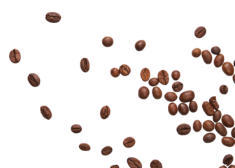 Coffee beans on transparent background. PNG file.
