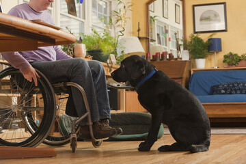 Woman with multiple sclerosis in a wheelchair with service dog beside her