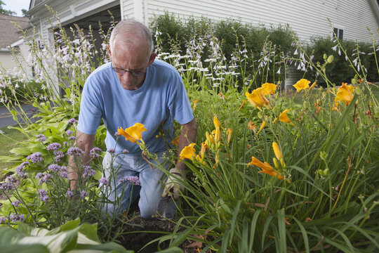 Senior man using a trowel in his flower garden