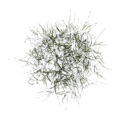 Top view of Plant ( Long Lawn Grass 1) Tree png