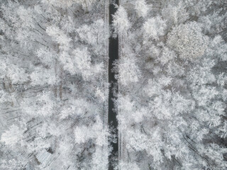 top down view of road in the winter forest
