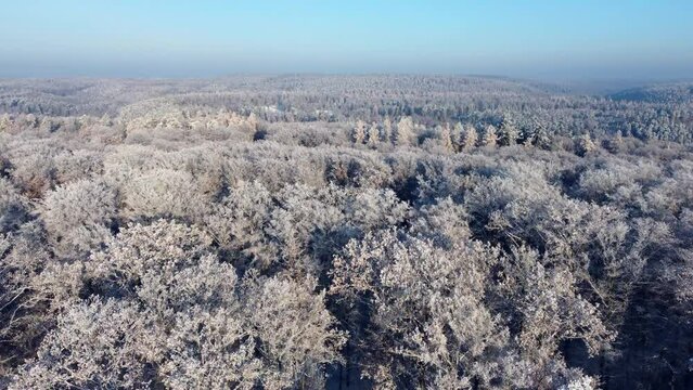 Aerial footage of flight over snowy forest in winter