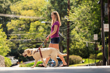 Student with visual impairment and her service dog crossing the street