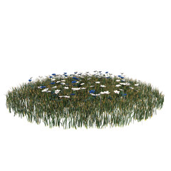 	
Front view of Plant ( Blue and White Flowers Lawn 3) Tree png