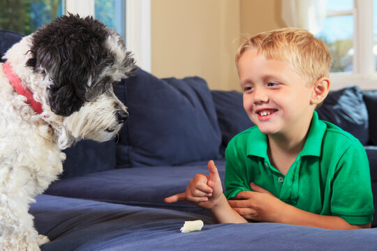 Boy with hearing impairments signing 'stay' in American sign language on their couch