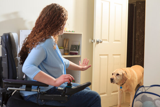Woman with Muscular Dystrophy in her power chair telling her service dog to stay