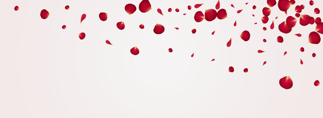 Red Lotus Fall Vector Panoramic White Background.