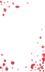 Beautiful Peach Japan Vector White Background.