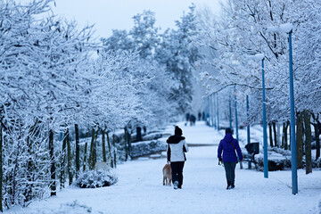 Dos mujeres paseando con su perro por un parque nevado.