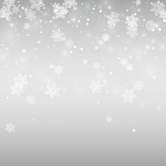 White Snow Vector Silver Background. Xmas