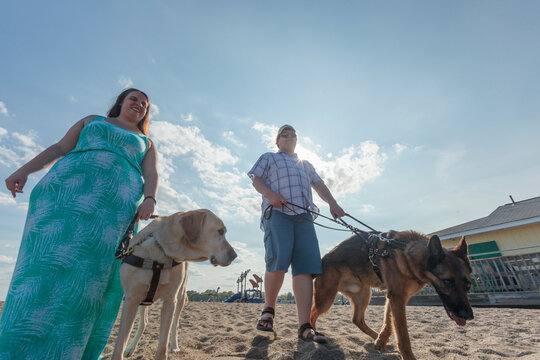 Blind couple with their service dogs walking along the beach