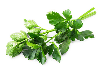 Fresh  celery leaves (Apium graveolens) isolated png, top view