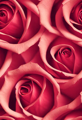 Red blossom roses background design Generative AI
