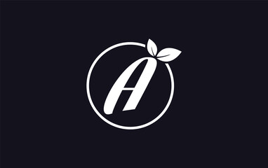 Fresh nature leaf and healthy logo design with the letter and alphabets. Green leaf and eco logo icon design 