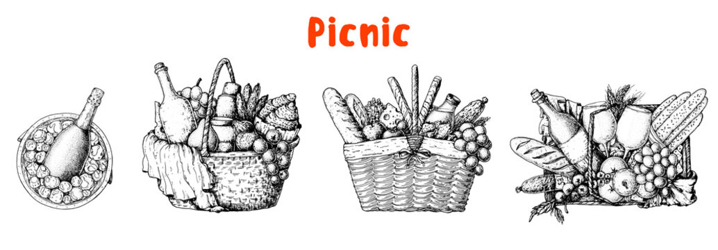 Picnic basket sketch collection. Hand drawn vector illustration. Summer food outdoors. Picnic basket with food sketch set. Food and drink illustration.