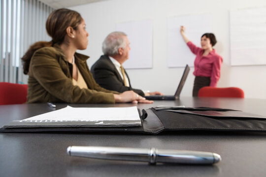 View of an executive making a presentation to the CEO.