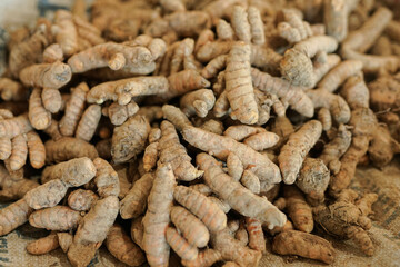 Fresh turmeric is sold in traditional markets