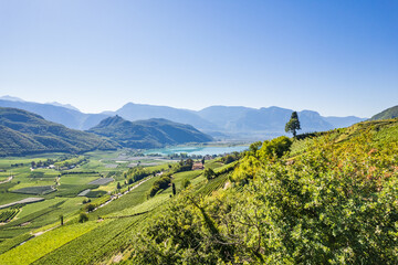 Weinberglandschaft rund um den Kalterer See im S&uuml;den S&uuml;dtirols