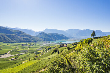 Weinberglandschaft rund um den Kalterer See im S&uuml;den S&uuml;dtirols