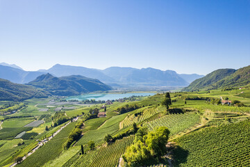 Weinberglandschaft rund um den Kalterer See im Süden Südtirols