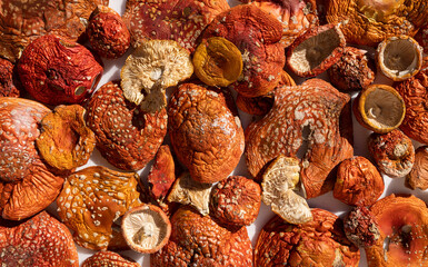 fly agaric background