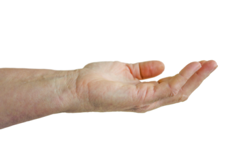 Old female hand close up isolated on white background.