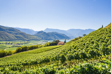 Weinberglandschaft rund um den Kalterer See im S&uuml;den S&uuml;dtirols
